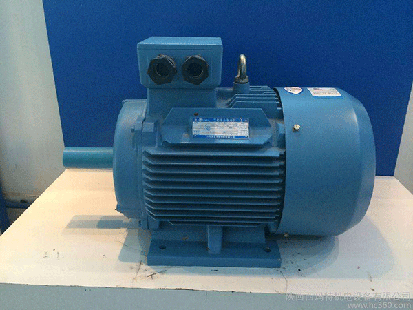 高效節(jié)能電機(jī)是西安泰富西瑪未來商業(yè)發(fā)展的方向。